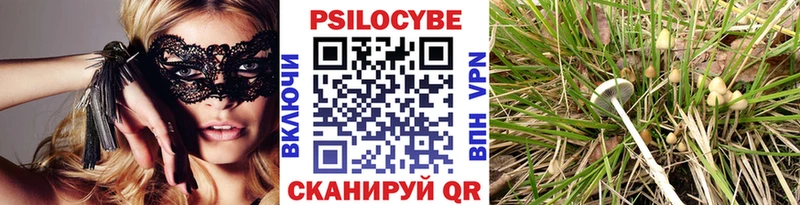Псилоцибиновые грибы мухоморы  купить закладку  Саяногорск 