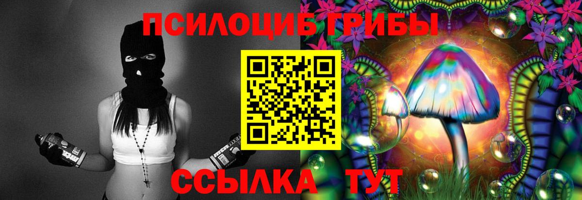 Псилоцибиновые грибы ЛСД Саяногорск